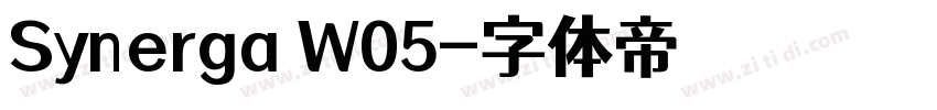 Synerga W05字体转换